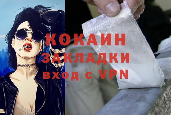 индика Алексеевка