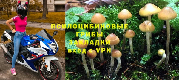 крисы Алзамай