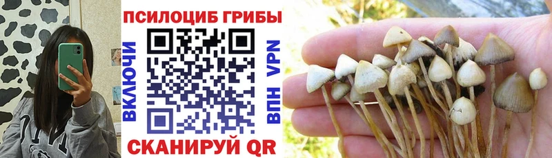 Галлюциногенные грибы мицелий  сайты даркнета состав  Лермонтов 